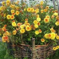 Canteiros feitos com materiais à mão. Alguns exemplos excelentes!