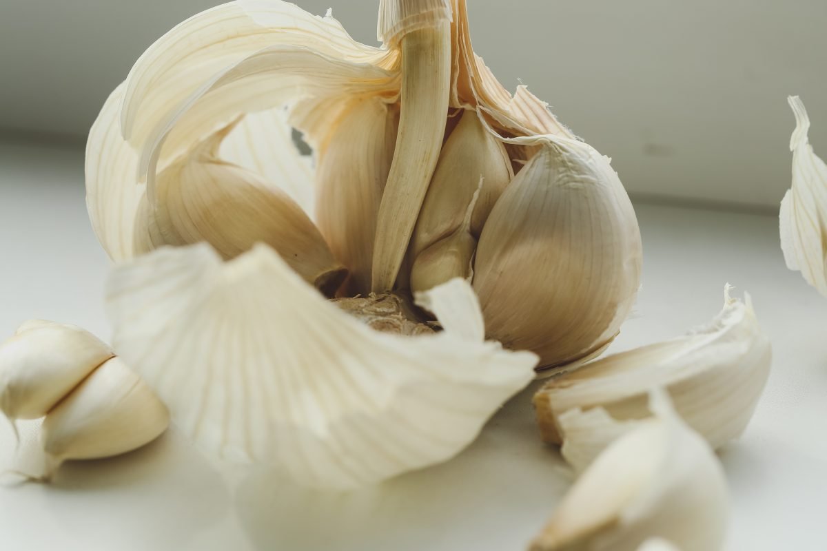 Cascas de alho, não jogue fora, valem AdobeStock 483211080