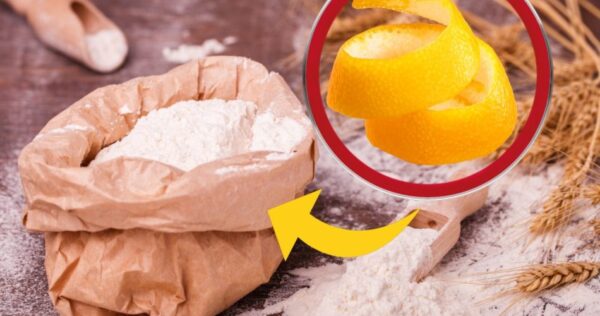 Cascas de laranja junto à farinha: minha avó economizou muito dinheiro com esse truque!
