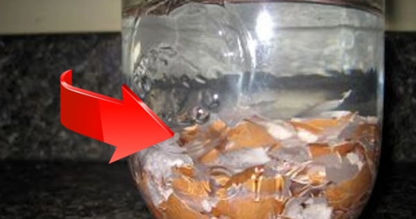 Cascas de ovo: Mergulhe-as em água quente e use-as assim. eles são muito preciosos