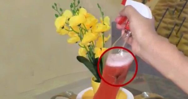 Chega de baratas em casa, inseticida e aromatizantes naturais: tudo cheira bem