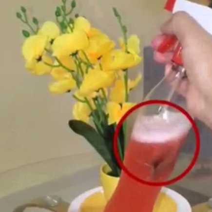 Chega de baratas em casa, inseticidas e aromas naturais: tudo cheira