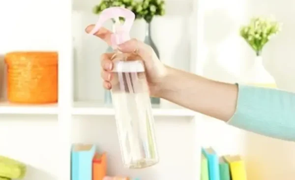 Chega de baratas em casa, inseticidas e aromas naturais: tudo cheira