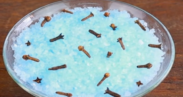 Cheira a casa de homem rico!!