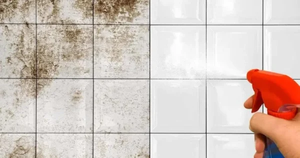 Chuveiro sujo e entupido? O truque genial para deixá-lo limpo sem esfregar