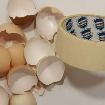 Colete cascas de ovo e fita adesiva: o que sai vai te deixar sem palavras 