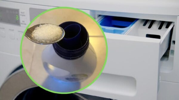 Colocar sal na máquina de lavar: é o truque da vovó que sempre funciona!