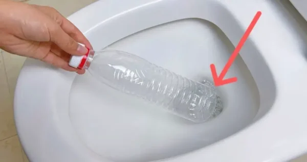 Coloque 1 garrafa de plástico no vaso sanitário, encanadores resolvem um grande problema
