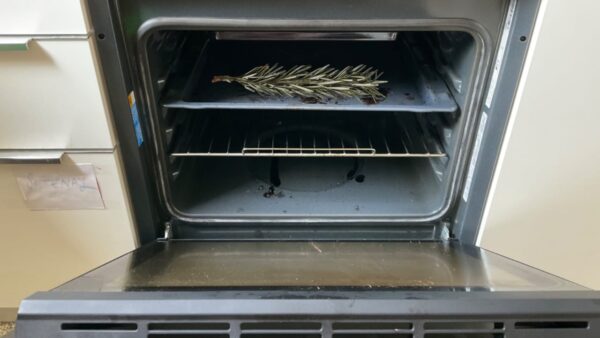 Coloque 1 raminho de alecrim no forno, surpreendendo o que você notará após 10 minutos