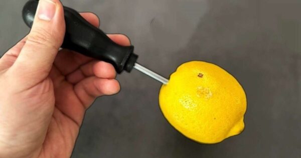 Coloque a chave de fenda em um limão: você terá um remédio que nunca imaginou