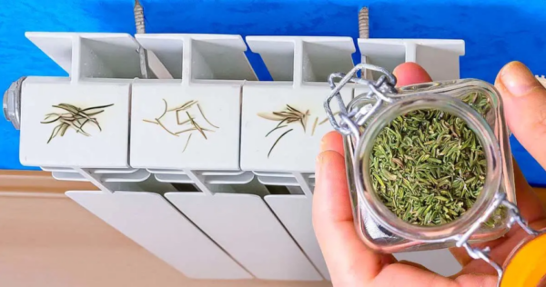 Coloque alecrim no radiador: a dica para economizar neste inverno