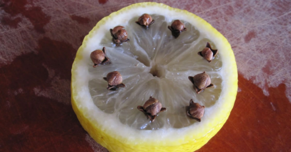 Coloque alguns cravos em um limão e veja o que acontece: resultados surpreendentes