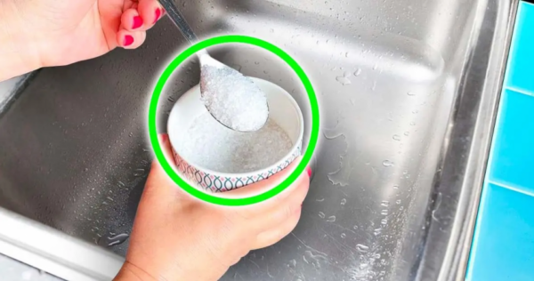 Coloque sal na pia e veja o que acontece – você vai eliminar esse problema de vez