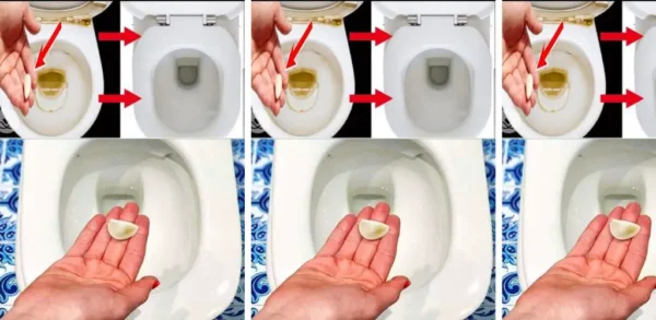 Coloque um dente de alho no banheiro durante a noite e você não ficará desapontado
