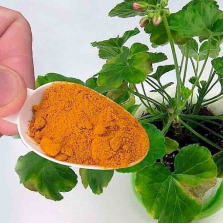 Coloque um pouco em todas as plantas da casa: você verá os resultados em tempo real