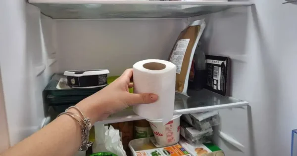 Coloque um rolo de papel higiênico na geladeira – você obterá um resultado inesperado