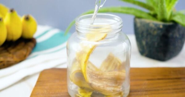 Coloque uma casca de banana em uma jarra com água fervente por 1 hora: o que acontece