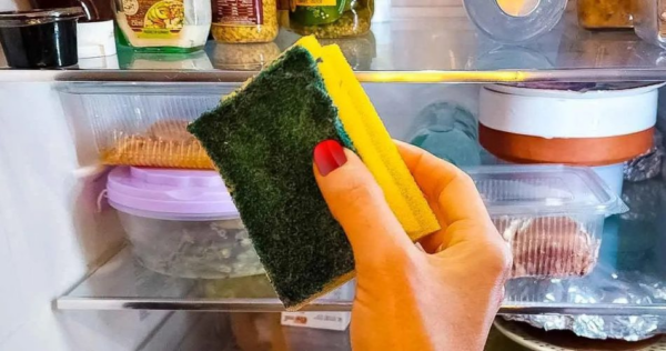 Coloque uma esponja na geladeira: o truque que vai economizar dinheiro