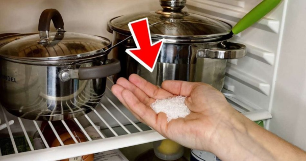 Coloque uma pitada de sal na geladeira e espere 5 minutos: surpreendente o que acontece