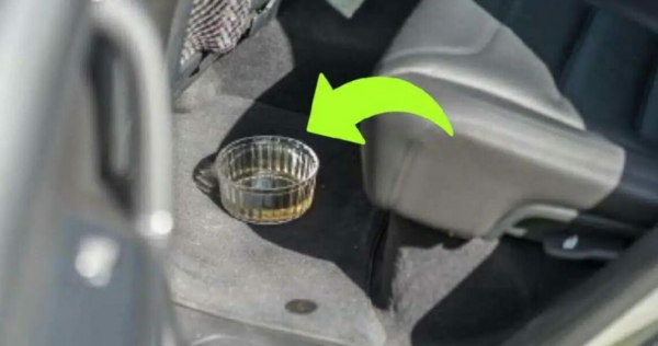 Coloque uma tigela de vinagre no seu carro: veja como eliminar os maus odores do seu carro