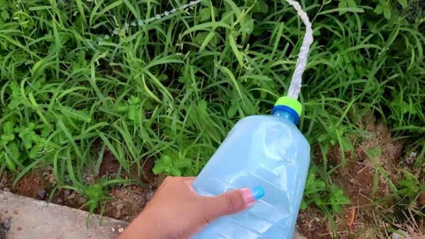 Com 50 cêntimos livras-te de todas as ervas daninhas da tua horta e jardim: assim acabas com elas