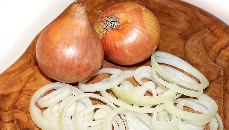 Remédios de cebola para plantas