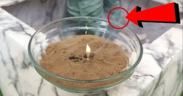 Com ele você pode eliminar mosquitos, pernilongos e insetos de sua casa em 5 minutos: coloque na cozinha