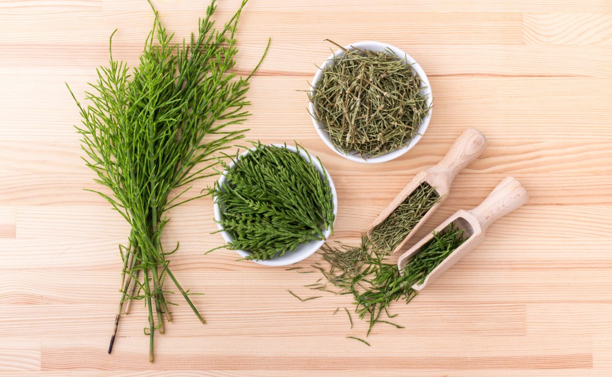 com esta decocção antiga no AdobeStock 156892520