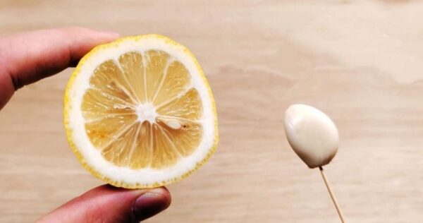 Com este antigo método chinês, as baratas permanecem apenas uma memória distante