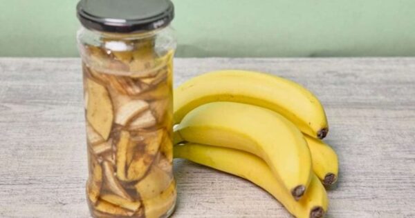 Com este remédio natural os insetos não entrarão mais em sua casa: veja como mantê-los afastados