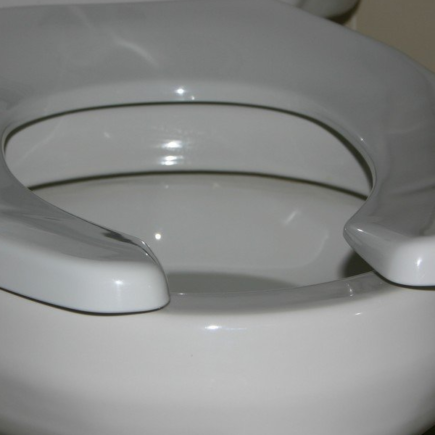 Com este truque simples você terá um banheiro que sempre cheira bem e permanece limpo