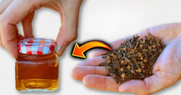 Com estes ingredientes você parecerá até 12 anos mais jovem: sem nem ruga