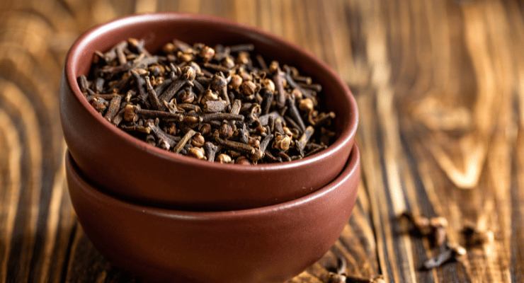 Elimine insetos de casa