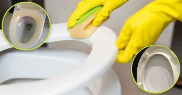 Como clarear um assento sanitário amarelado: 3 dicas muito simples