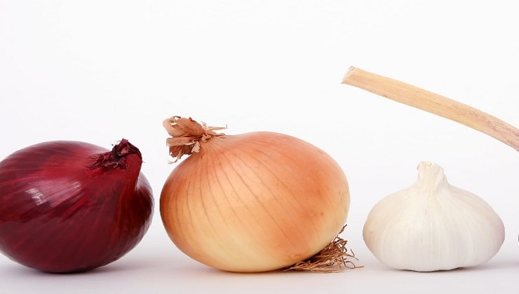 Como cultivar cebola e alho.