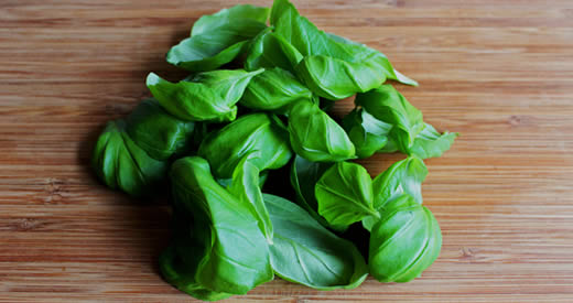 Como descongestionar o nariz com manjericão