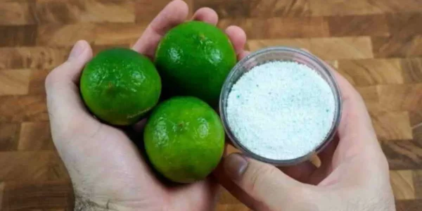 Como eliminar moscas e perfumar toda a cozinha?