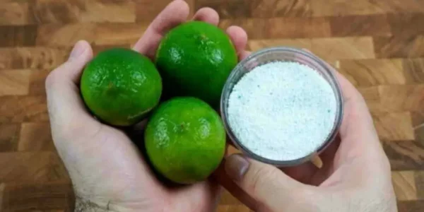 Como eliminar moscas e perfumar toda a cozinha?