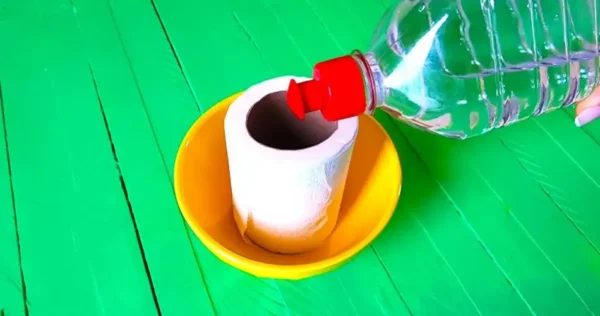 Como eliminar os maus odores da casa devido à sujeira da cozinha e do banheiro?