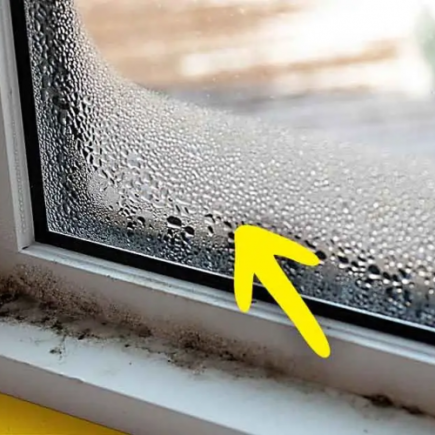 Como faço para remover a umidade da casa? 7 truques simples