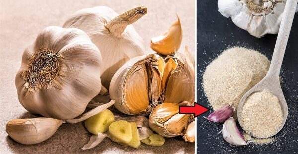 Como fazer alho em pó caseiro em etapas simples