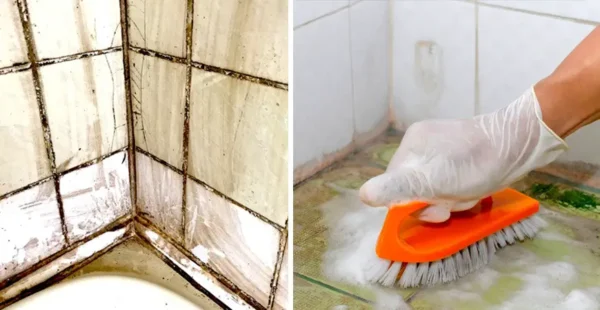 Como limpar manchas e mofo de azulejos de banheiro com vinagre