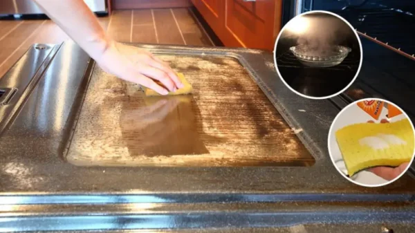 Como limpar o vidro da porta do forno com vinagre e bicarbonato de sódio