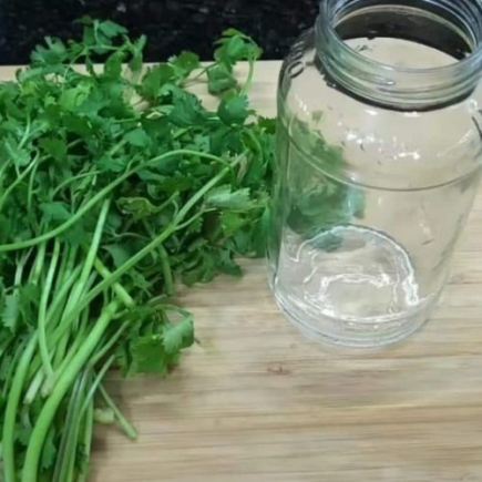 Como manter a salsa fresca durante um ano: o método do chef