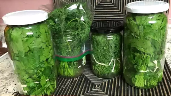 Como manter a salsa viva e fresca por meses: um truque do chef