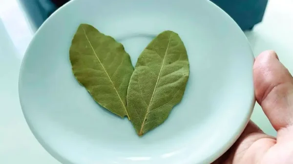 Como perfumar a casa inteira com 2 folhas de louro