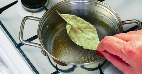 Como perfumar ambientes domésticos: o método com ingredientes naturais