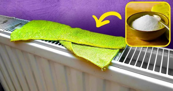 Como perfumar sua casa naturalmente? Um truque brilhante por menos de 20 centavos