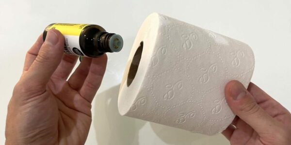 Como perfumar todo o banheiro com rolo de papel higiênico