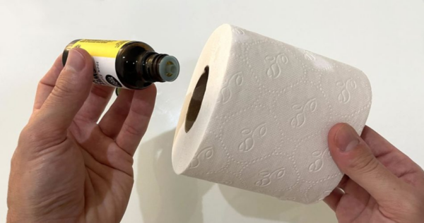 Como perfumar todo o banheiro com um rolo de papel higiênico